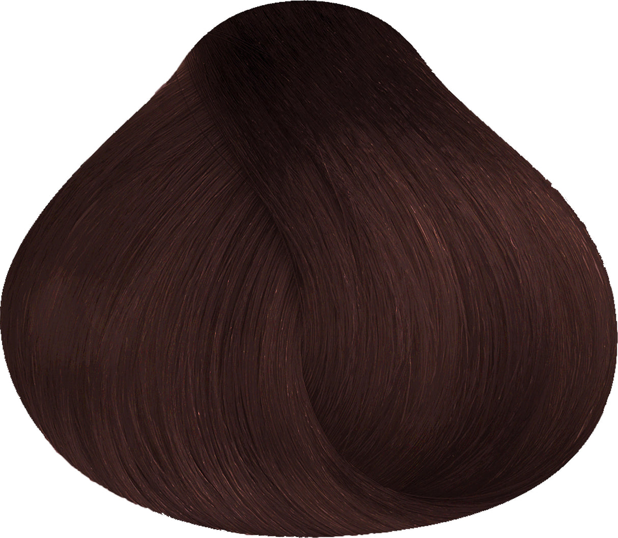 5.23 | Light Tropical Brown