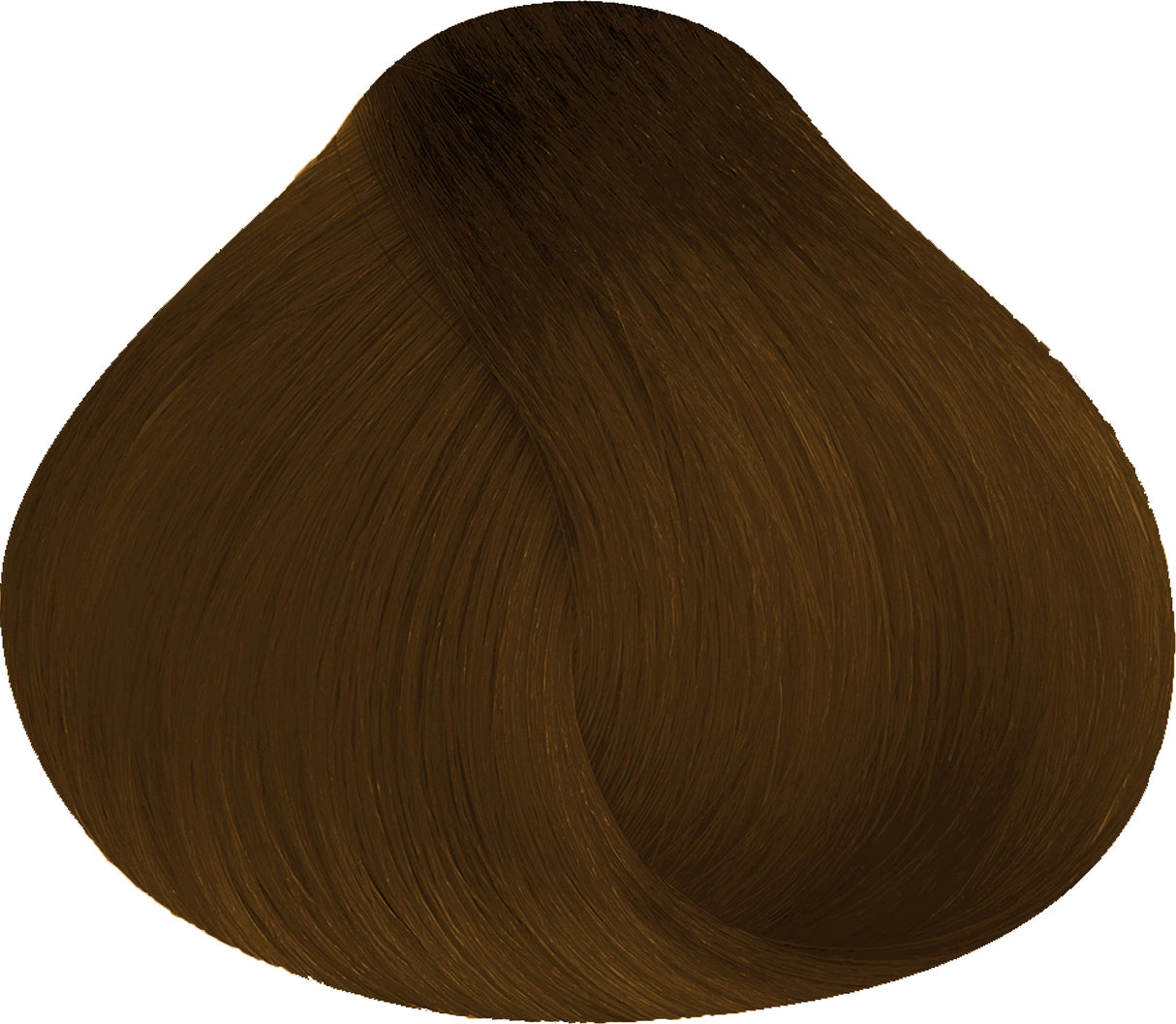 6.33 | Intense Golden Dark Blond