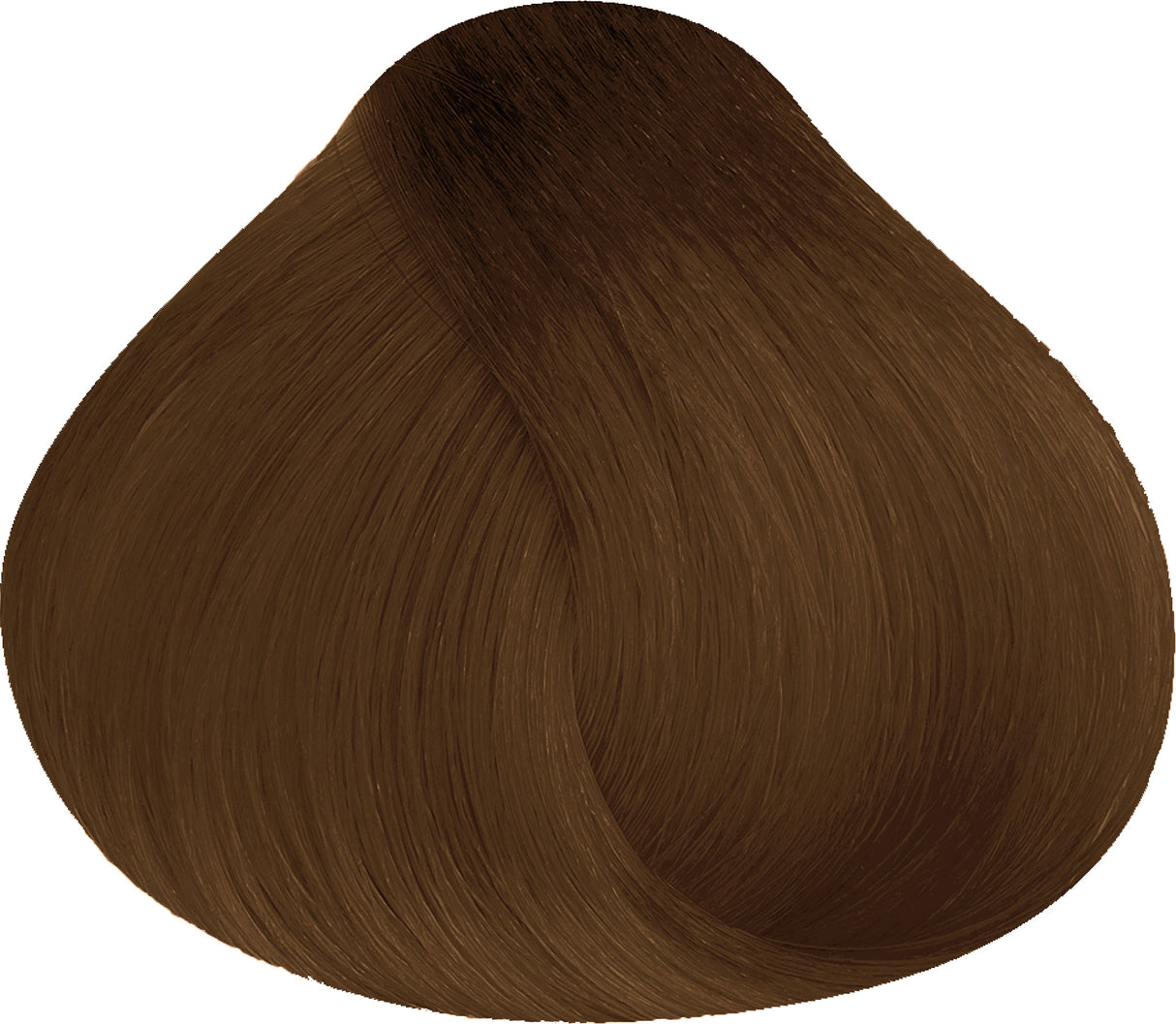 6.8 | Dark Coffee Blond