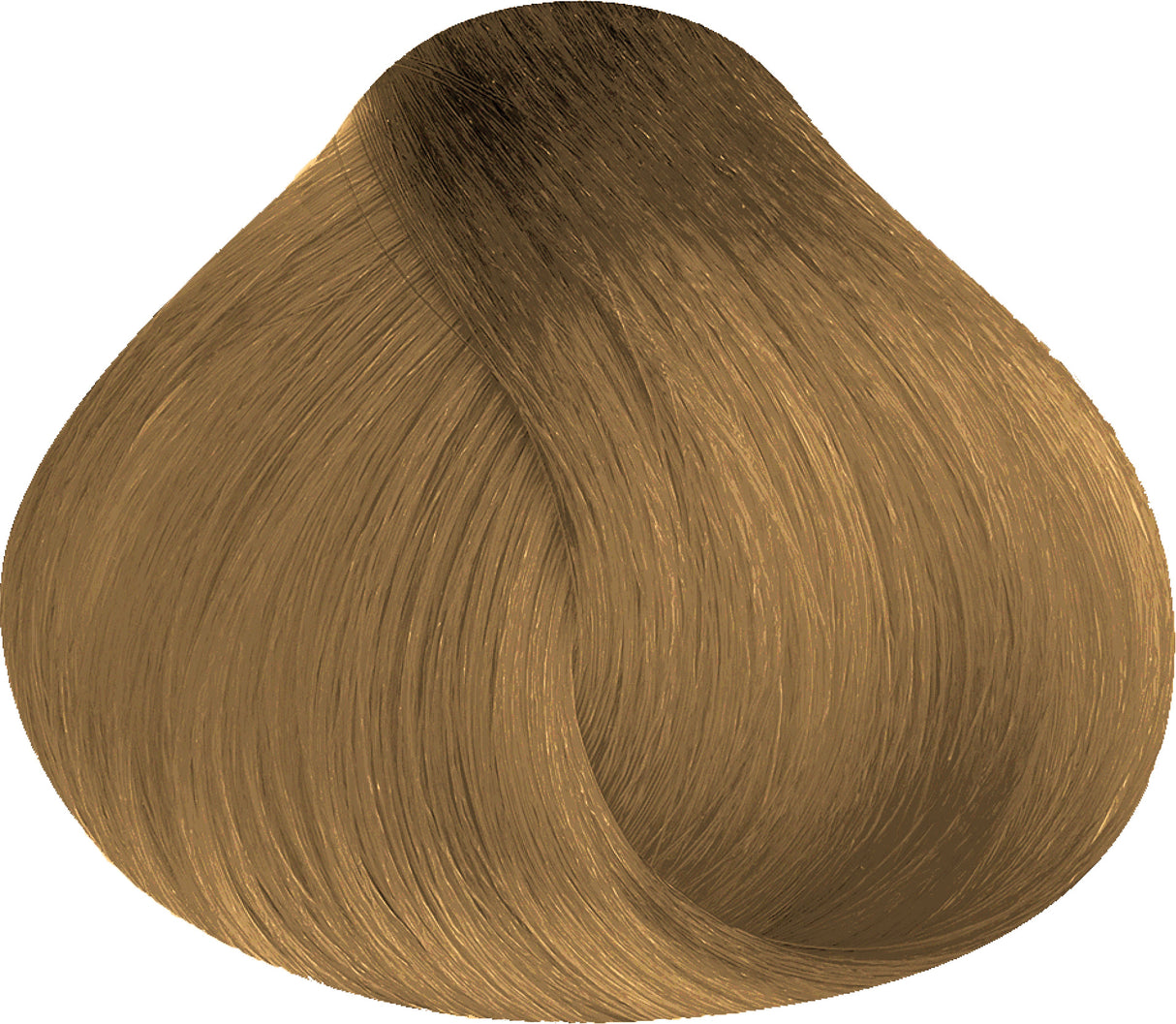 8.003 | Light Warm Natural Blond